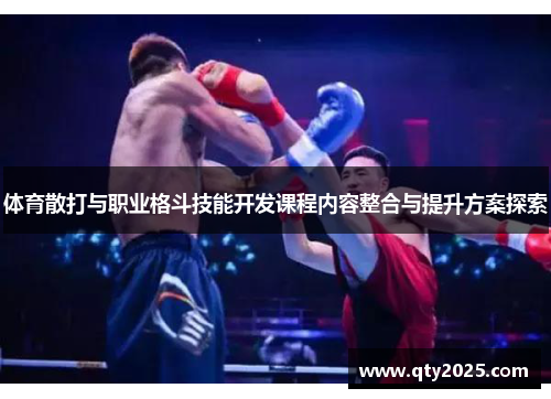体育散打与职业格斗技能开发课程内容整合与提升方案探索