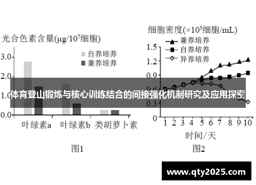 体育登山锻炼与核心训练结合的间接强化机制研究及应用探索