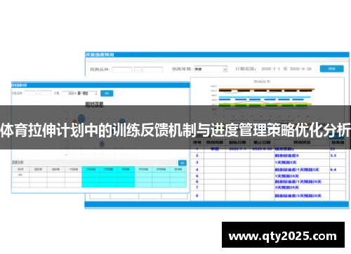 体育拉伸计划中的训练反馈机制与进度管理策略优化分析